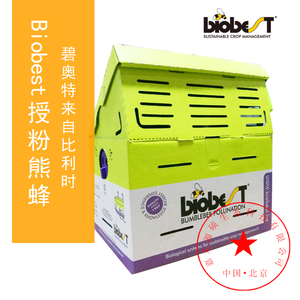 Biobest（碧奥特）授粉熊蜂-标准箱